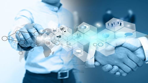 财务共享服务中心所需系统软件及科技推广应用服务